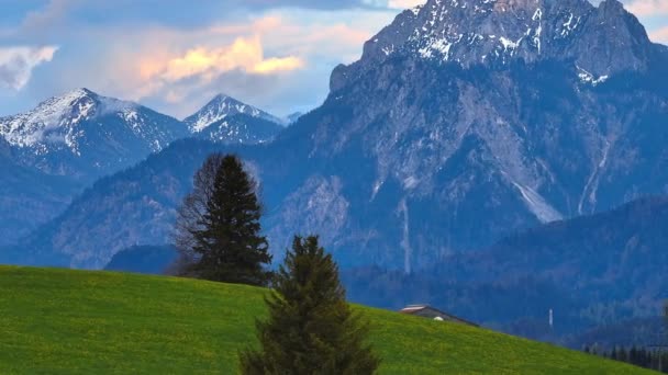 緑豊かな牧草地と美しい山々を持つドイツのアルガウの典型的な風景 素晴らしいドローン写真 — ストック動画