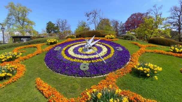 Słynny Zegar Kwiatowy Genewie Szwajcaria Geneva Switzerland Europe Kwiatek 2023 — Wideo stockowe