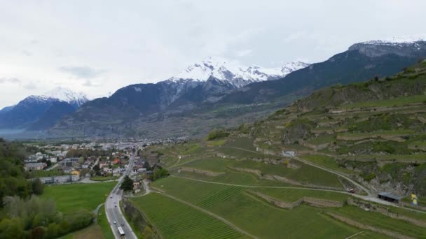 Vineyards Valais Switzerland Aerial View Drone — Stock Video