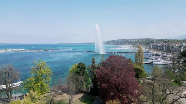 Città Ginevra Lago Leman Dall Alto Una Giornata Sole Vista — Video Stock