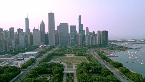グラント パーク シカゴ ウィズ ダウンタウン スカイライン ドローンによる空撮 — ストック動画