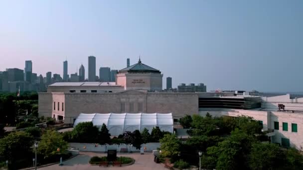 Shedd Aquarium Chicago Chicago Illinois June 2023 — стокове відео