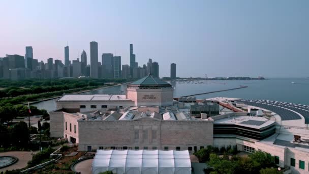 Shedd Aquarium Στο Σικάγο Από Ψηλά Εναέρια Φωτογραφία Drone — Αρχείο Βίντεο