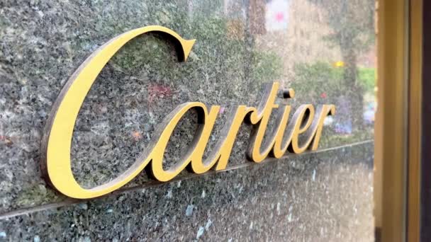 Şikago Daki Muhteşem Mil Deki Cartier Mağazası Chicago Abd Haziran — Stok video