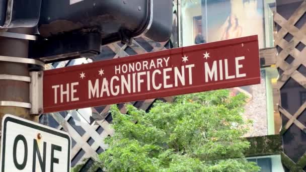 Honorary Magnificent Mile Chicago Chicago Usa June 2023 — 비디오