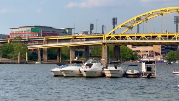 Yacht Sul Fiume Allegheny Pittsburgh Pittsburgh Usa Giugno 2023 — Video Stock