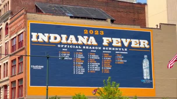 Indiana Fever Resmi Sezon Planı 2023 Indianapolis Abd Haziran 2023 — Stok video