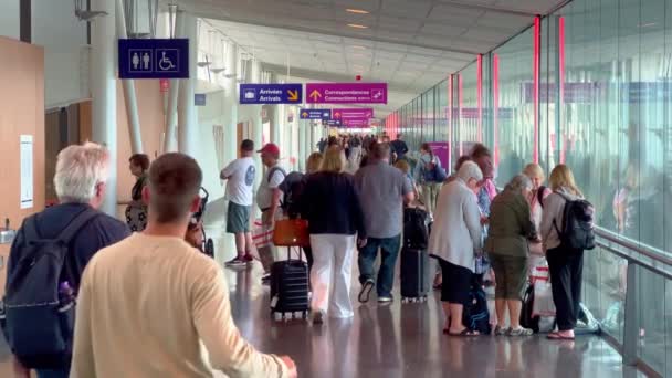 Chegando Aeroporto Montreal Yul Montreal Canada Junho 2023 — Vídeo de Stock