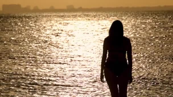 Sihouette Una Donna Acqua Dorata Dell Oceano Controluce Estremo Rallentatore — Video Stock