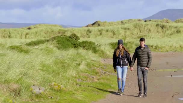 年轻夫妇手牵手地走过爱尔兰的乡村风景 慢镜头 — 图库视频影像