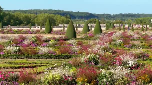 Belos Jardins Castelo Versalhes Paris Paris França Setembro 2023 — Vídeo de Stock