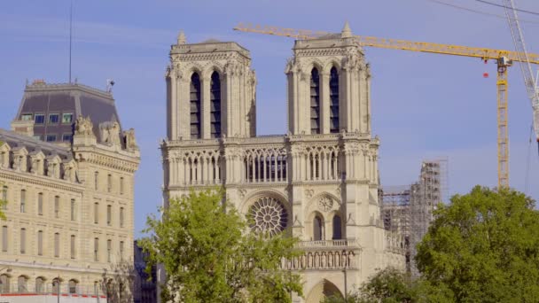 Cathédrale Notre Dame Paris Paris France Septembre 2023 — Video
