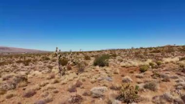 Kuru manzarasıyla yukarıdan Arizona Çölü - hava manzarası - hava fotoğrafçılığı
