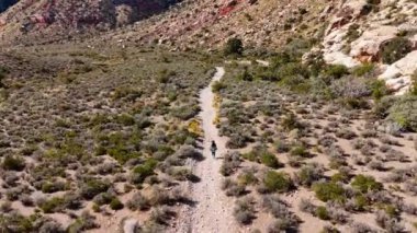 Nevada Çölü üzerinde uçuş ve muhteşem manzarası ve kanyonları - hava fotoğrafçılığı