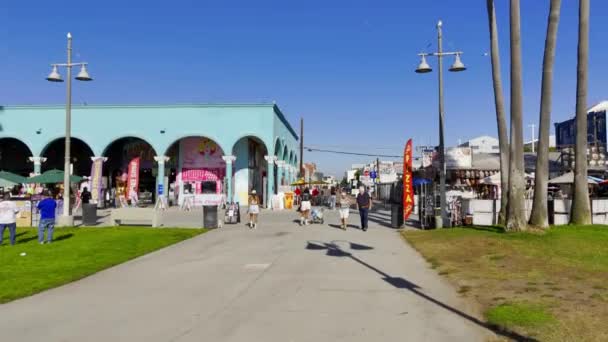 Venice Beach California Top Sunny Day Los Angeles Drone Footage — Αρχείο Βίντεο