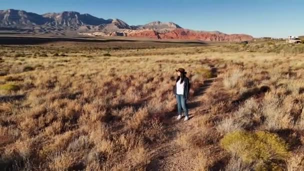 若い女性はネバダの孤独な砂漠を歩くカウガーとして歩きます 空想的な眺め — ストック動画
