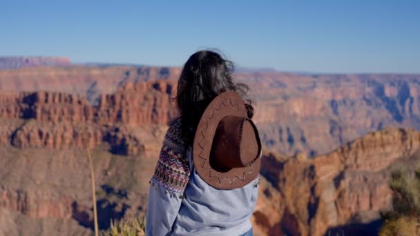 Den Hisnande Utsikten Över Grand Canyon Arizona Fotografi — Stockvideo