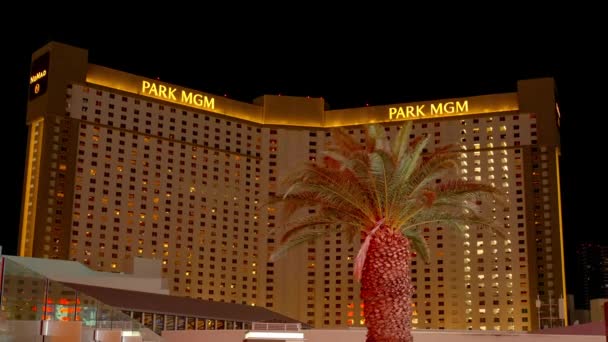 Park Mgm Hotel Casino Las Vegas Éjjel Las Vegas Usa — Stock videók