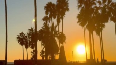 Venice Beach California 'da günbatımının tadını çıkarmak - seyahat fotoğrafçılığı