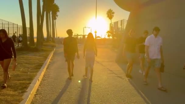 ヴェネツィア ビーチ カリフォルニアでの夕日を楽しむ アメリカ ノーベル5 2023 — ストック動画