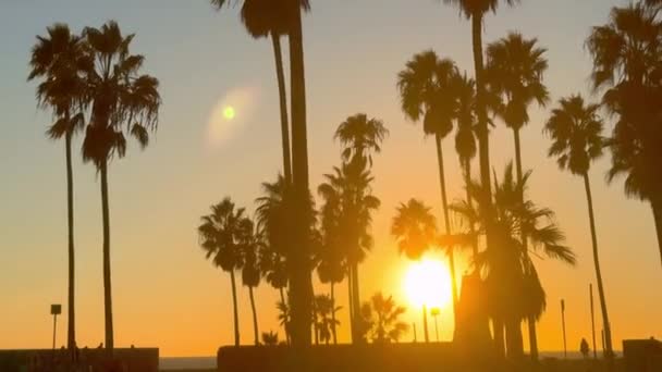 Genießen Sie Den Sonnenuntergang Venice Beach Kalifornien Reisefotos — Stockvideo