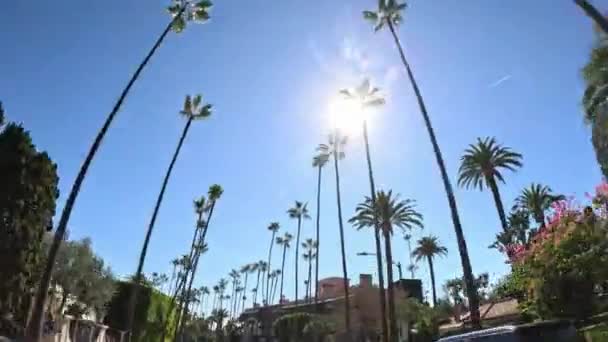 Kjører Gjennom Beverly Hills Med Palmetrær Reisefotografering – stockvideo