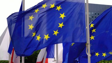 Avrupa Birliği bayrakları rüzgarda sallanıyor - Paris 'te seyahat fotoğrafçılığı