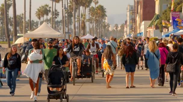 Spaß Venice Beach Oceanfront Los Angeles Usa November 2023 — Stockvideo