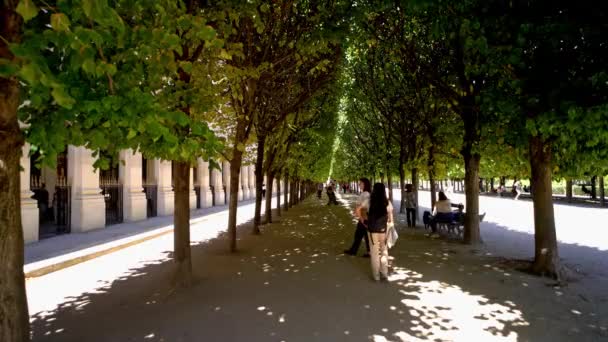 Paris Teki Royal Palace Daki Bahçeler Paris France Eylül 2023 — Stok video