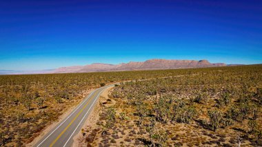 Kuru manzarasıyla yukarıdan Arizona Çölü - hava manzarası - hava fotoğrafçılığı