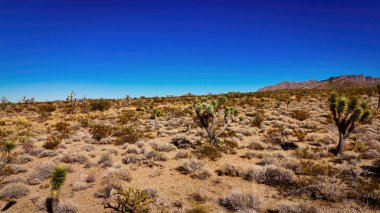 Arizona Çölü 'nün geniş kırsal manzarası - yukarıdan gökyüzü manzarası - hava fotoğrafçılığı