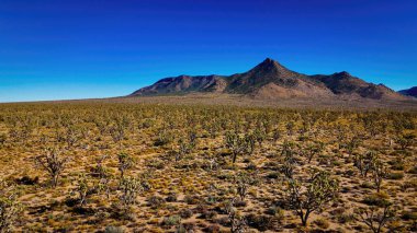 Kuru manzarasıyla yukarıdan Arizona Çölü - hava manzarası - hava fotoğrafçılığı