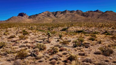 Kuru manzarasıyla yukarıdan Arizona Çölü - hava manzarası - hava fotoğrafçılığı