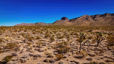 Kuru manzarasıyla yukarıdan Arizona Çölü - hava manzarası - hava fotoğrafçılığı