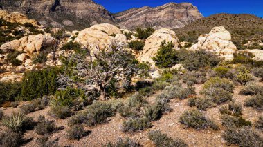 Nevada Çölü ve muhteşem manzarası ve kanyonları - hava fotoğrafçılığı