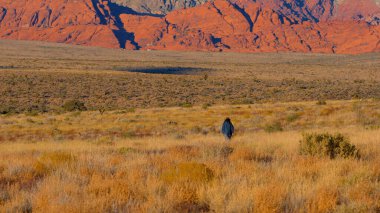 Batılı stil kıyafetli genç bir kadın Nevada 'da Red Rock Kanyonu' nu keşfediyor. Seyahat fotoğrafçılığı.