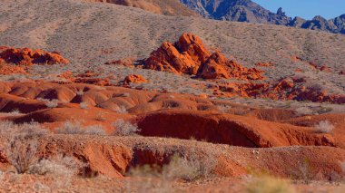 Arizona Çölü 'ndeki tipik kırmızı kayalar ve kumtaşı manzarası - seyahat fotoğrafçılığı