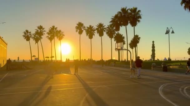 Solnedgång Mellan Palmer Vid Venice Beach California Los Angeles Usa — Stockvideo