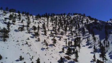 Sierra Nevada California 'daki karlı dağların üzerinden uçmak - hava manzarası