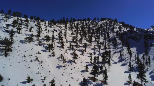 Sierra Nevada California Daki Karlı Dağların Üzerinden Uçmak Hava Manzarası — Stok video