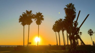 Venice Beach California 'da Palm Trees arasında gün batımı - seyahat fotoğrafçılığı