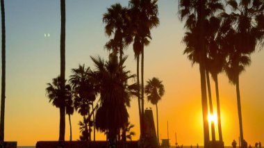 Venice Beach California 'da Palm Trees arasında gün batımı - seyahat fotoğrafçılığı