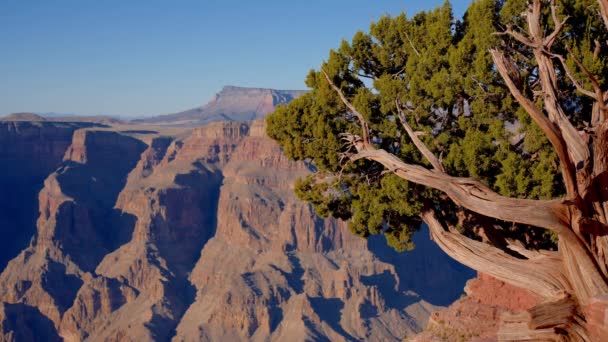 Dech Beroucí Výhled Grand Canyon Arizoně Cestovní Fotografie — Stock video