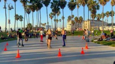 Los Angeles Venedik Plajı 'ndaki kaykay parkı popüler bir yerdir - LOS ANGELES, ABD - 5 Kasım 2023