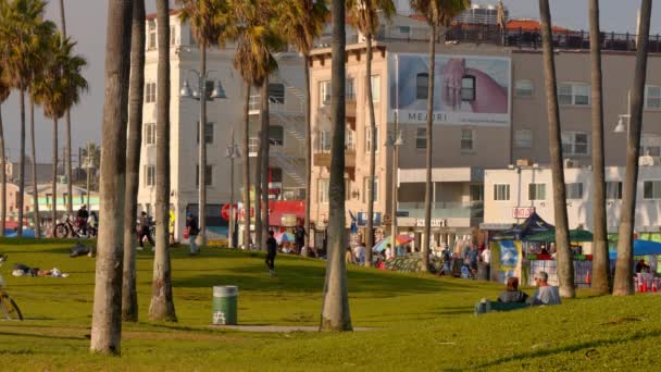 沿着威尼斯海滩的海滨散步 美国海景角 2023年11月5日 — 图库视频影像