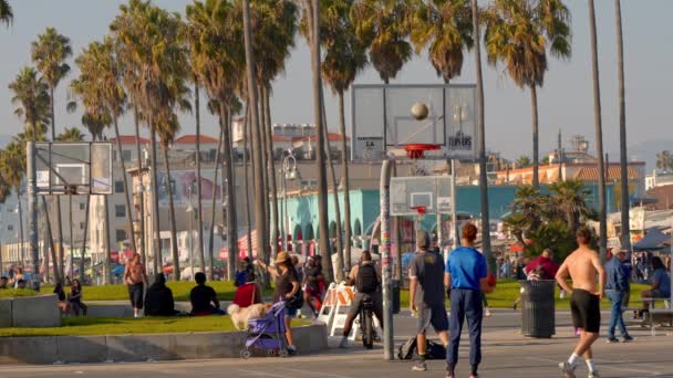 威尼斯海滩受欢迎的海洋漫步 美国海景天使 2023年11月5日 — 图库视频影像