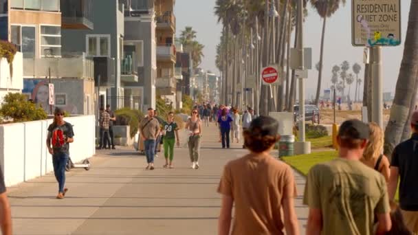Paseo Popular Por Océano Venice Beach Los Ángeles Estados Unidos — Vídeos de Stock