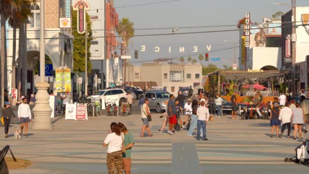Popular Venice Beach Oceanfront Walk Sunny Day Los Angeles États — Video