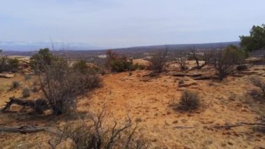 Moab 'taki Arches Ulusal Parkı yakınlarındaki sarı kumtaşı manzaralı güzel bir manzara.