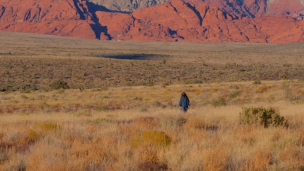 Vaquera Joven Caminando Sola Por Desierto Nevada Fotografía Viaje — Vídeo de stock